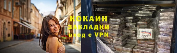 гашик Вяземский