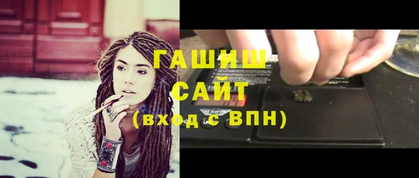 гашик Вяземский