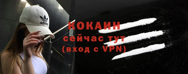 гашик Вяземский