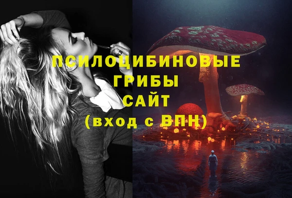 spice Володарск