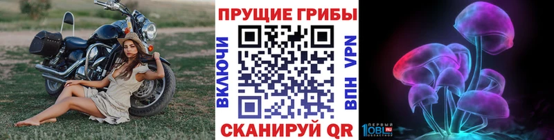 Купить закладки Сухиничи Псилоцибиновые грибы Magic Shrooms